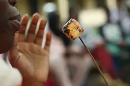 Illustrative Fried plantain photograph
