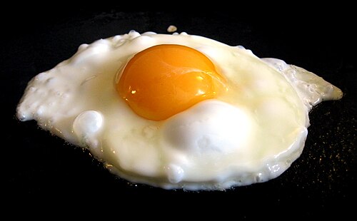 Illustrative Fried egg photograph