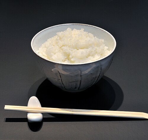 Illustrative Cooked rice photograph